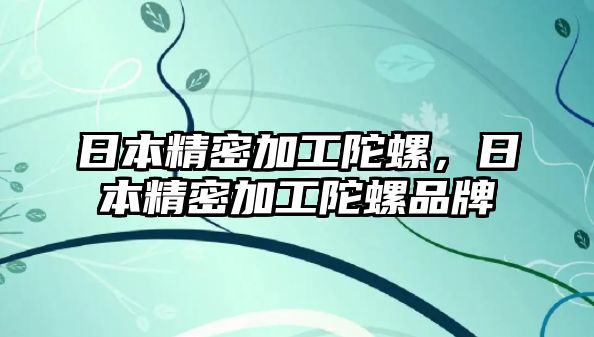 日本精密加工陀螺，日本精密加工陀螺品牌