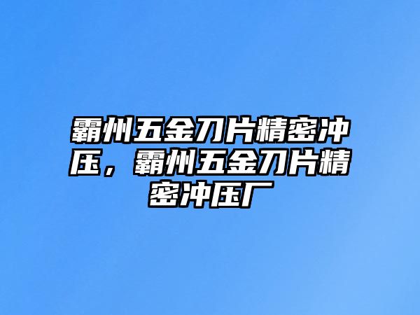 霸州五金刀片精密沖壓，霸州五金刀片精密沖壓廠