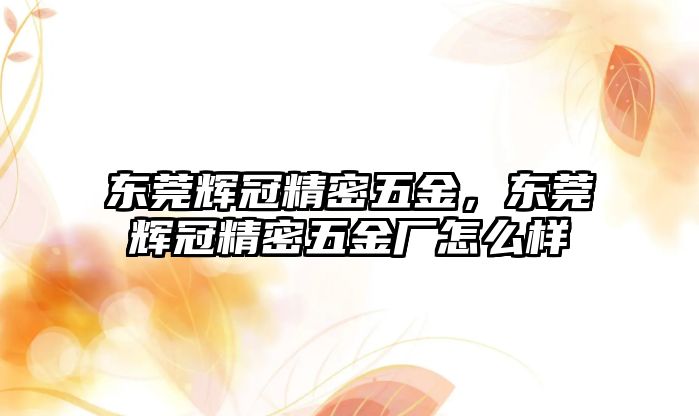 東莞輝冠精密五金，東莞輝冠精密五金廠怎么樣