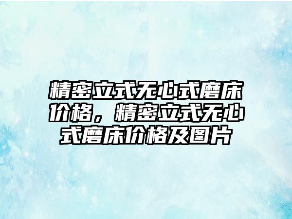 精密立式無心式磨床價格，精密立式無心式磨床價格及圖片