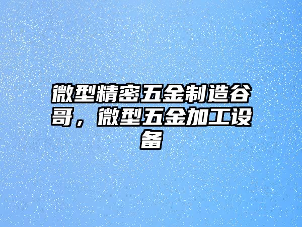 微型精密五金制造谷哥，微型五金加工設(shè)備