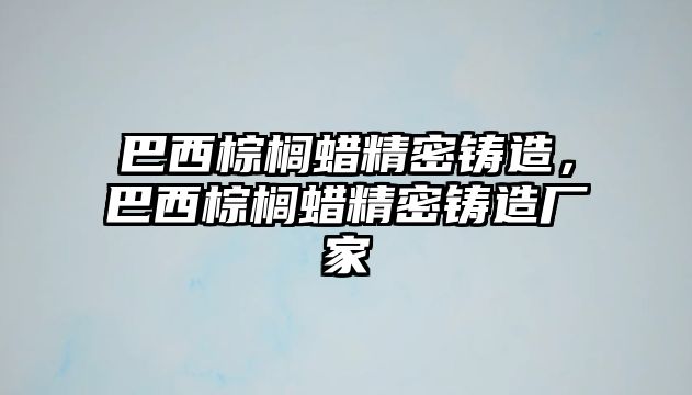 巴西棕櫚蠟精密鑄造，巴西棕櫚蠟精密鑄造廠家