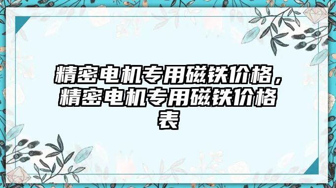 精密電機(jī)專用磁鐵價格，精密電機(jī)專用磁鐵價格表