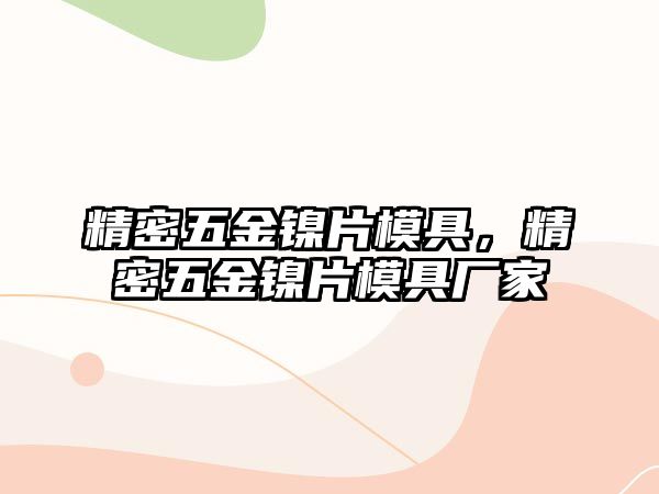 精密五金鎳片模具，精密五金鎳片模具廠家