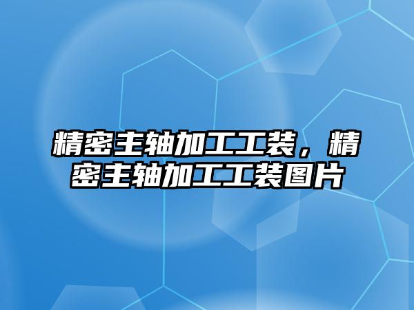 精密主軸加工工裝，精密主軸加工工裝圖片