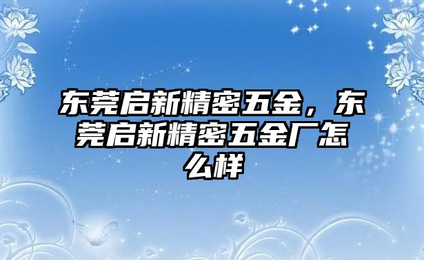 東莞啟新精密五金，東莞啟新精密五金廠怎么樣