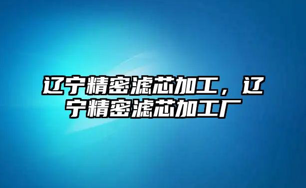 遼寧精密濾芯加工，遼寧精密濾芯加工廠