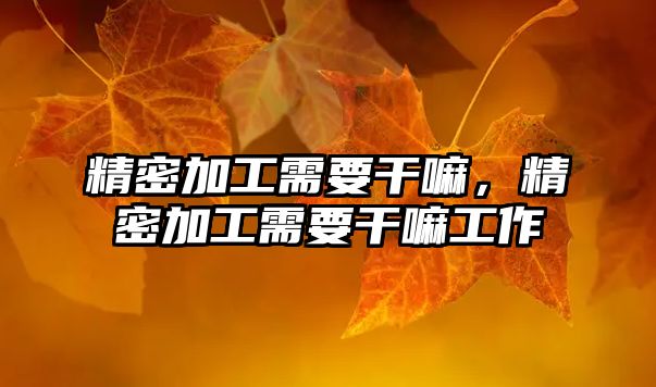 精密加工需要干嘛，精密加工需要干嘛工作