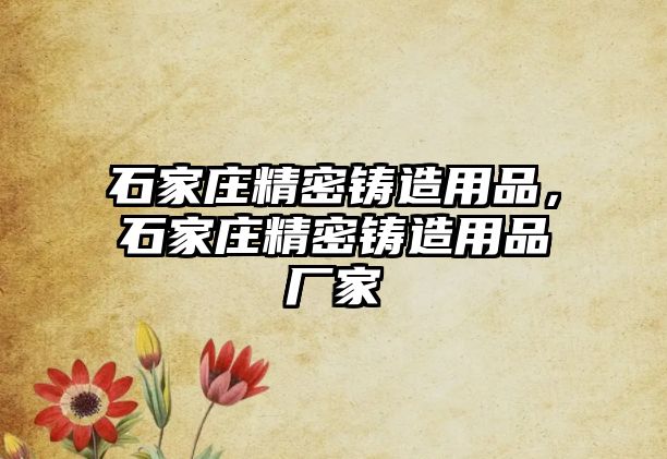 石家莊精密鑄造用品，石家莊精密鑄造用品廠家