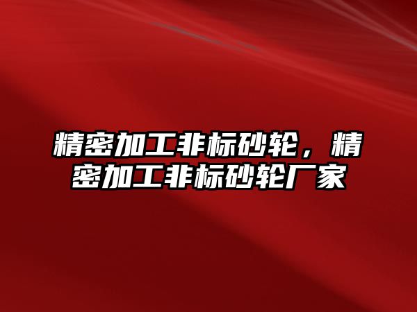 精密加工非標(biāo)砂輪，精密加工非標(biāo)砂輪廠家