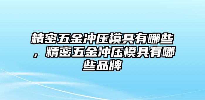 精密五金沖壓模具有哪些，精密五金沖壓模具有哪些品牌