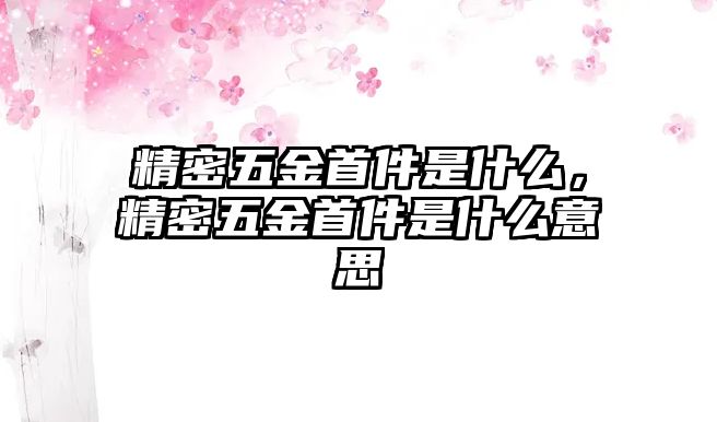 精密五金首件是什么，精密五金首件是什么意思