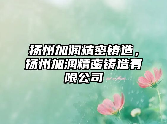 揚州加潤精密鑄造，揚州加潤精密鑄造有限公司