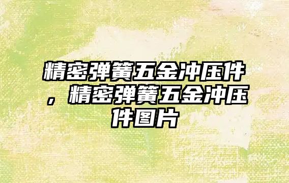 精密彈簧五金沖壓件，精密彈簧五金沖壓件圖片