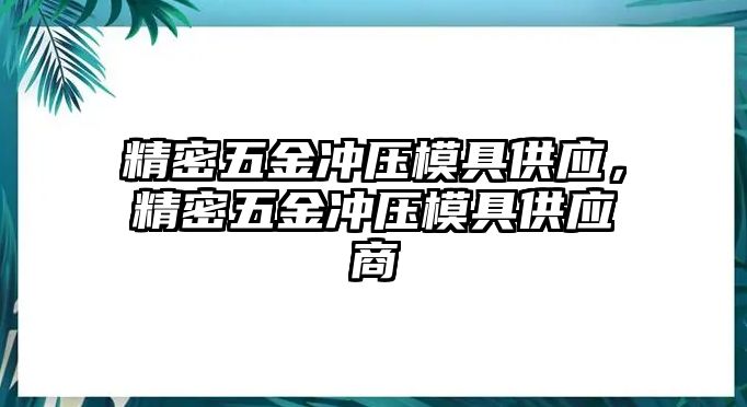 精密五金沖壓模具供應(yīng)，精密五金沖壓模具供應(yīng)商