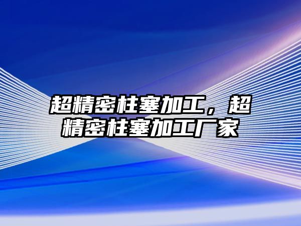 超精密柱塞加工，超精密柱塞加工廠家