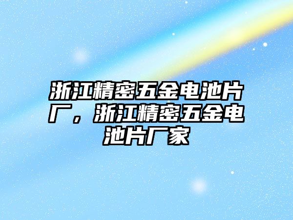 浙江精密五金電池片廠，浙江精密五金電池片廠家