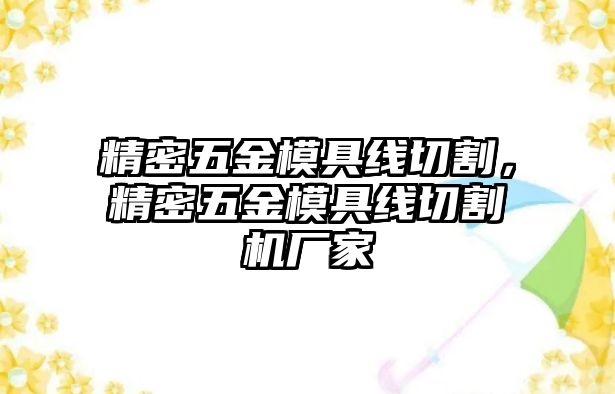 精密五金模具線切割，精密五金模具線切割機廠家