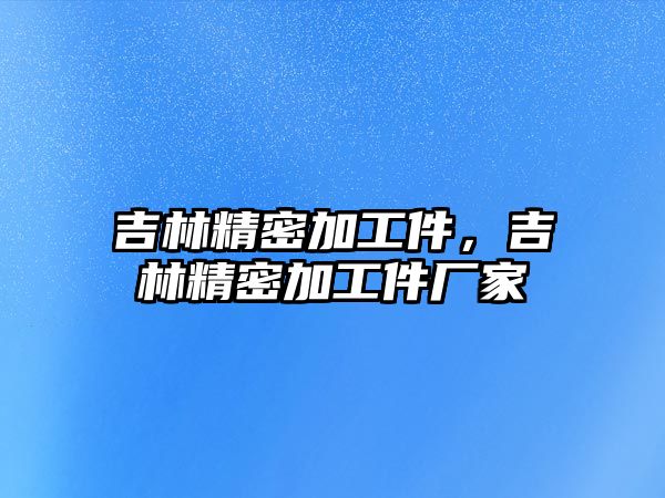 吉林精密加工件，吉林精密加工件廠家