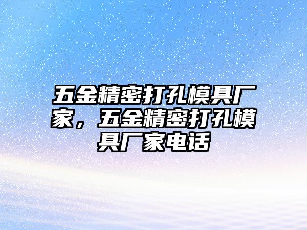 五金精密打孔模具廠家，五金精密打孔模具廠家電話