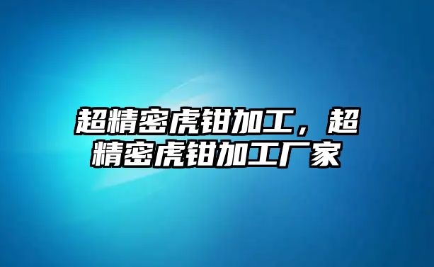 超精密虎鉗加工，超精密虎鉗加工廠家