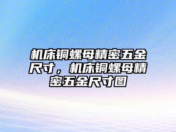 機(jī)床銅螺母精密五金尺寸，機(jī)床銅螺母精密五金尺寸圖