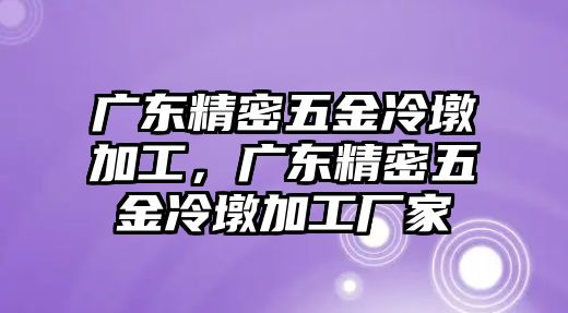 廣東精密五金冷墩加工，廣東精密五金冷墩加工廠家