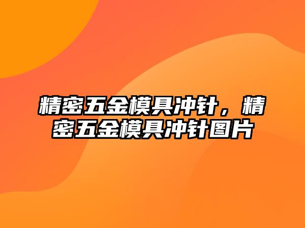 精密五金模具沖針，精密五金模具沖針圖片