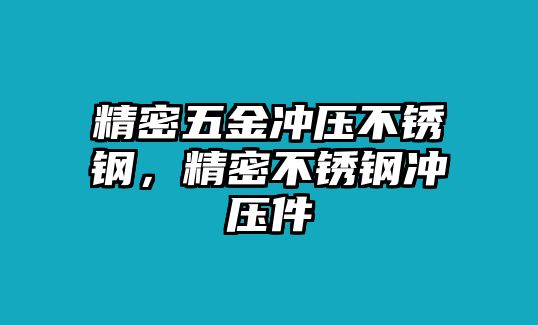 精密五金沖壓不銹鋼，精密不銹鋼沖壓件