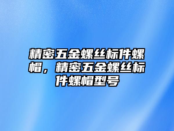 精密五金螺絲標件螺帽，精密五金螺絲標件螺帽型號