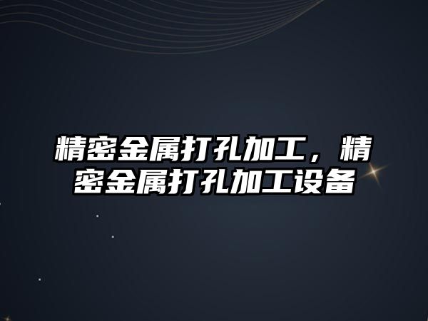 精密金屬打孔加工，精密金屬打孔加工設(shè)備