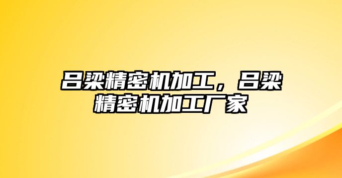 呂梁精密機加工，呂梁精密機加工廠家