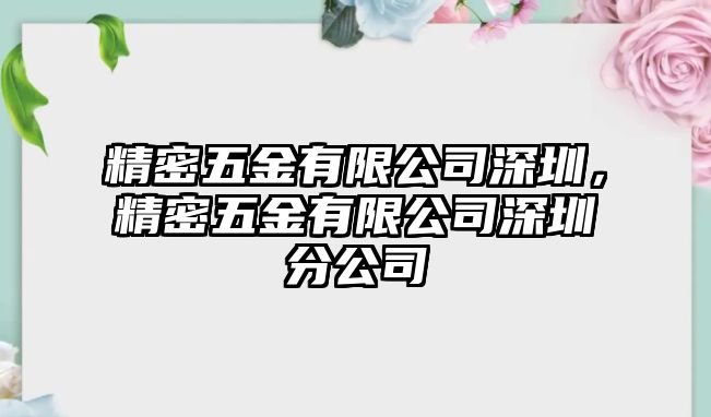 精密五金有限公司深圳，精密五金有限公司深圳分公司