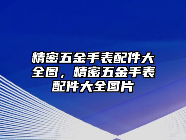 精密五金手表配件大全圖，精密五金手表配件大全圖片