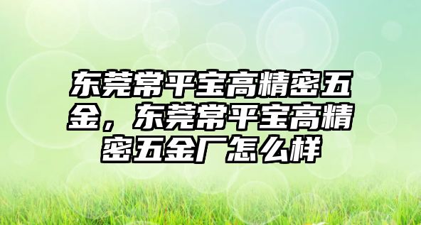 東莞常平寶高精密五金，東莞常平寶高精密五金廠怎么樣