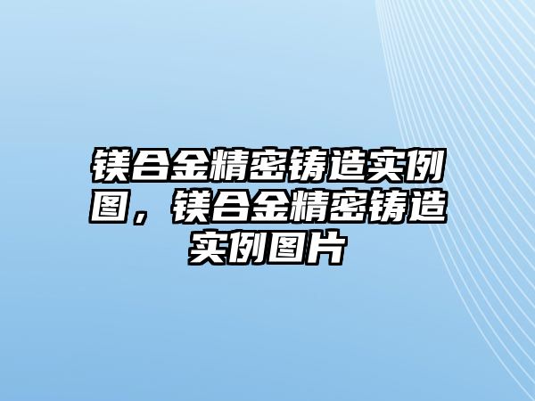 鎂合金精密鑄造實例圖，鎂合金精密鑄造實例圖片