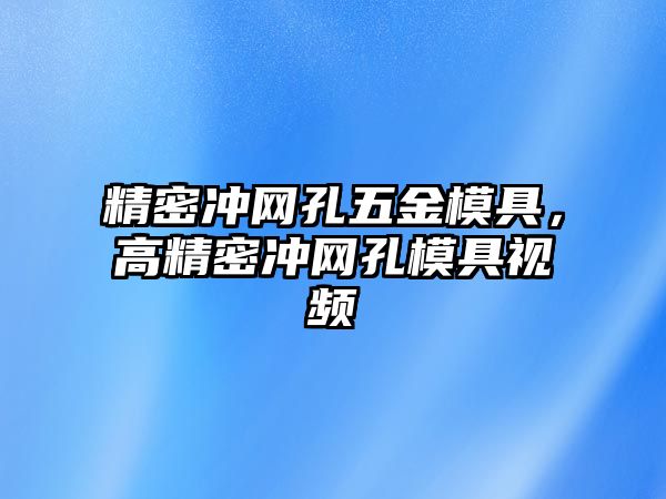 精密沖網(wǎng)孔五金模具，高精密沖網(wǎng)孔模具視頻