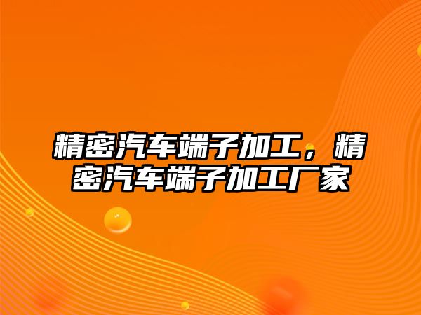 精密汽車端子加工，精密汽車端子加工廠家