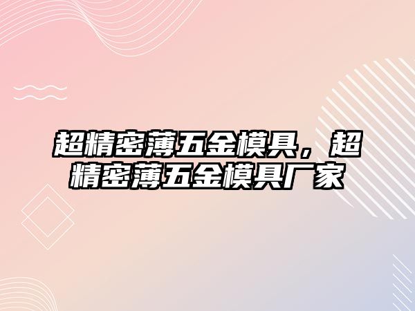 超精密薄五金模具，超精密薄五金模具廠家