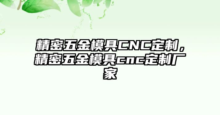 精密五金模具CNC定制，精密五金模具cnc定制廠家