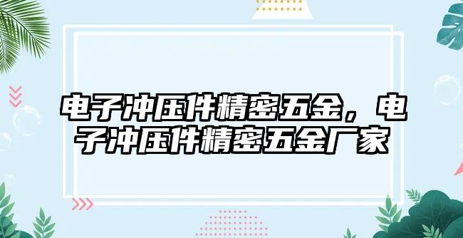 電子沖壓件精密五金，電子沖壓件精密五金廠家