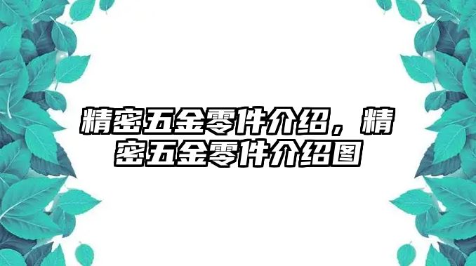 精密五金零件介紹，精密五金零件介紹圖