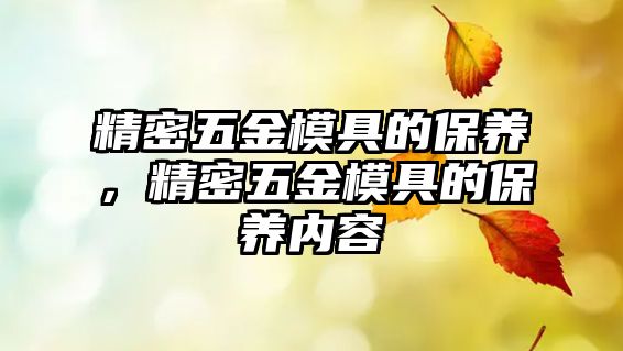 精密五金模具的保養(yǎng)，精密五金模具的保養(yǎng)內(nèi)容