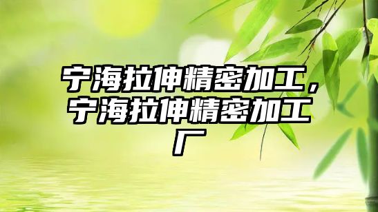 寧海拉伸精密加工，寧海拉伸精密加工廠