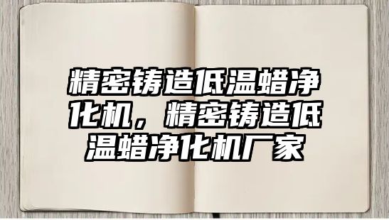 精密鑄造低溫蠟凈化機，精密鑄造低溫蠟凈化機廠家