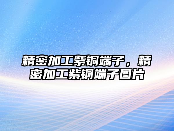 精密加工紫銅端子，精密加工紫銅端子圖片