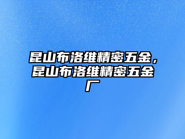 昆山布洛維精密五金，昆山布洛維精密五金廠