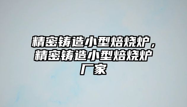 精密鑄造小型焙燒爐，精密鑄造小型焙燒爐廠家