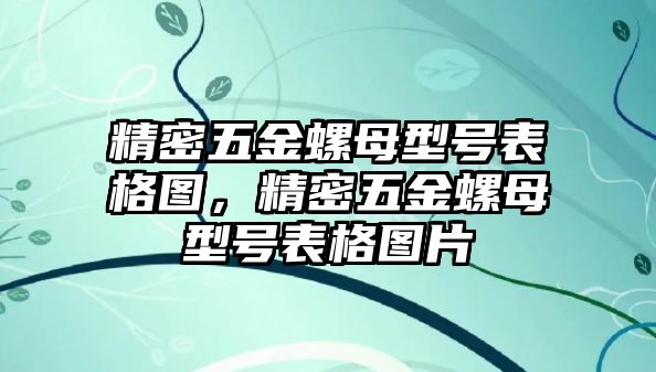 精密五金螺母型號表格圖，精密五金螺母型號表格圖片