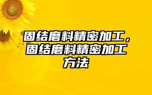 固結(jié)磨料精密加工，固結(jié)磨料精密加工方法